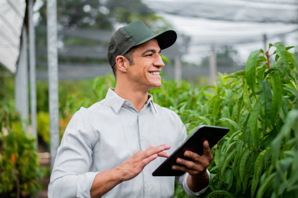Farmer using Krishi AI-Mitra app