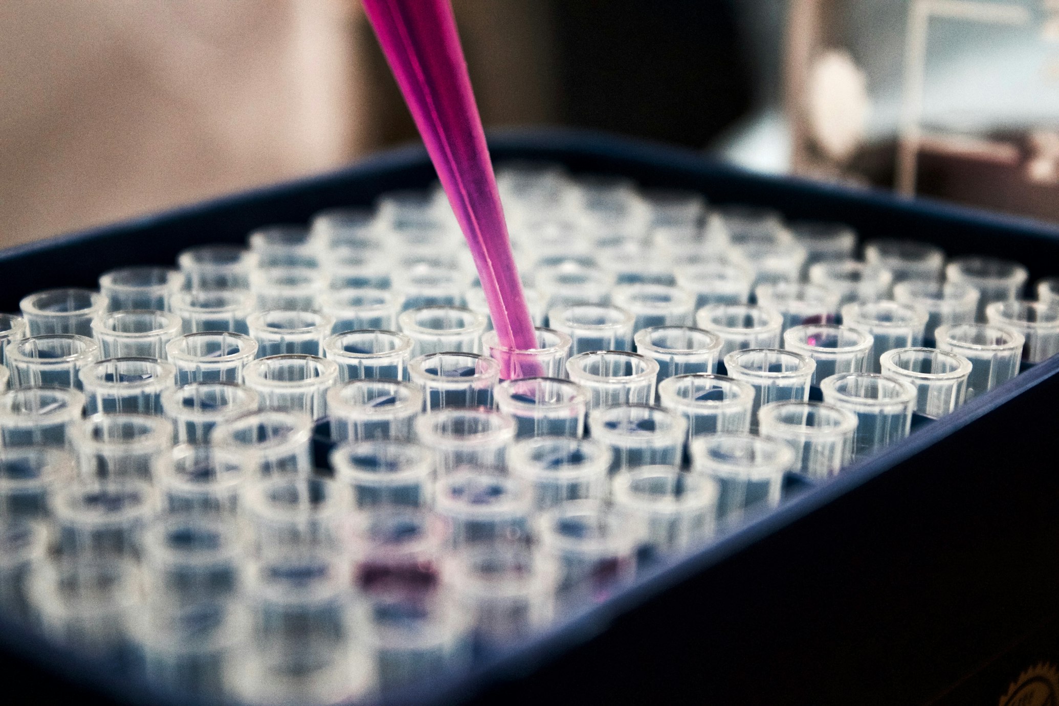Researchers